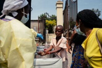 infectious diseases such as hantavirus and ebola becoming more frequent and damaging say experts 6a0c2ee8e1c42