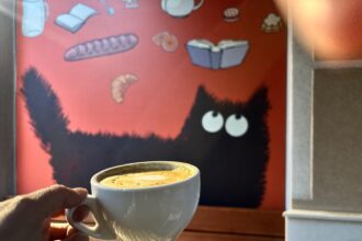 pisicul ghiftuit de citit se ascunde in cotroceni iar casa lui poarta numele la petite bouffe bien sur avec du cafef09f988d 6a0eb5a02358c