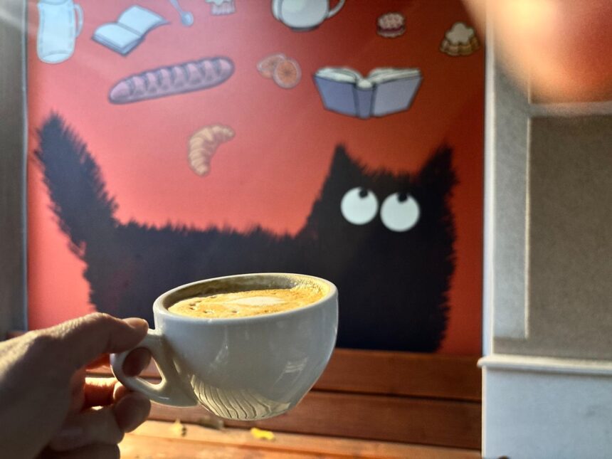 pisicul ghiftuit de citit se ascunde in cotroceni iar casa lui poarta numele la petite bouffe bien sur avec du cafef09f988d 6a0eb5a02358c