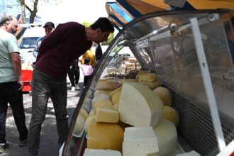 branzeturi proaspete rosii castraveti patrunjel si ceapa verde la piata volanta amzei producatori locali sunt aici cu produse de vineri pana duminica 6a32786e5fdb6