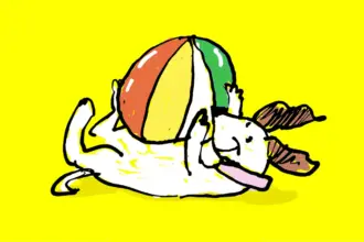 cinedoggo o zi dedicata iubitorilor de caini si de film 6a3650cfb4bb5