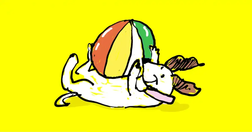 cinedoggo o zi dedicata iubitorilor de caini si de film 6a3650cfb4bb5