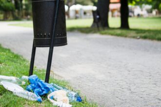 clean up comunitar diseara in parcul cismigiu bucurestenii sunt asteptati la ora 19 la intrarea cu ceas sa curete prin gradina din inima orasului 6a2fc76c65446