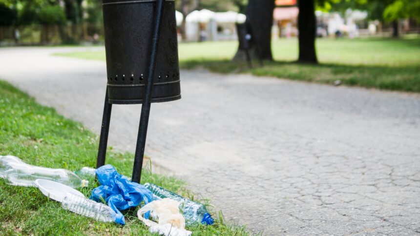 clean up comunitar diseara in parcul cismigiu bucurestenii sunt asteptati la ora 19 la intrarea cu ceas sa curete prin gradina din inima orasului 6a2fc76c65446