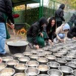 florin nita vine in weekend la tocanita pentru toti bobita f09f9095f09fa6ba bucurestenii vor gati mancare pentru catei sambata la adapostul speranta 20e9f610