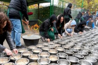 florin nita vine in weekend la tocanita pentru toti bobita f09f9095f09fa6ba bucurestenii vor gati mancare pentru catei sambata la adapostul speranta 20e9f610