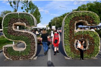 foto spectacole de teatru si magie la west side flower fest weekendul acesta ce activitati sunt pregatite pentru cei mici la festivalul florilor din parcul drumul taberei 6a1d5afa8d0f9