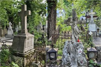 incep tururile ghidate cimitirul bellu muzeu in aer liber primul e in acest weekend sunt gratuite si trebuie sa faci un singur lucru simplu ca sa participi 6a2bc51492c13