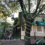 mangiare la granita dintre vatra luminoasa si iancului am testat trattoria fresca din bucuresti 6a292df6f26d6