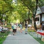 targ de sanziene la muzeul satului pe 24 iunie vor fi spectacole cu muzica si dans atelierele artistice sunt gratuite dar locurile sunt limitate 6a26d124e5518