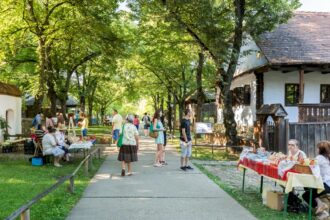 targ de sanziene la muzeul satului pe 24 iunie vor fi spectacole cu muzica si dans atelierele artistice sunt gratuite dar locurile sunt limitate 6a26d124e5518