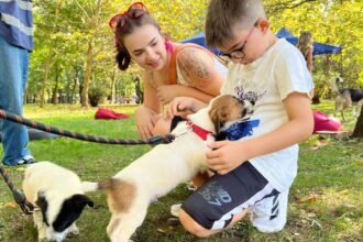 un nou targ de adoptii aspa va avea loc in parcul ior echipa de robotica vicyber ftc va veni cu roboti si alte activitati interesante 6a3118e6936b6