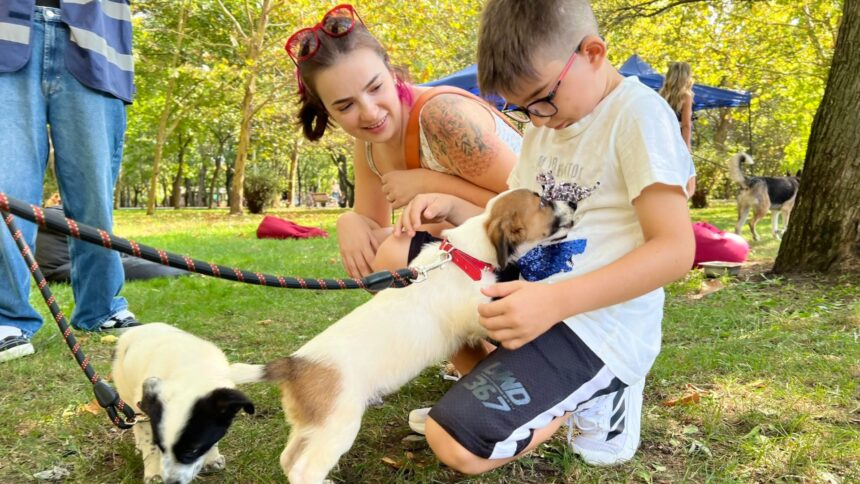 un nou targ de adoptii aspa va avea loc in parcul ior echipa de robotica vicyber ftc va veni cu roboti si alte activitati interesante 6a3118e6936b6
