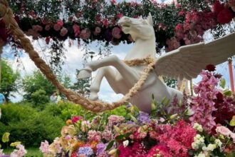west side flower fest e in acest weekend in parcul drumul taberei peste 100 000 de flori si zeci de spectacole ii asteapta pe bucuresteni programul complet 6a21416676dbf