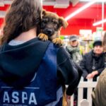 blanosii de la aspa ne asteapta la un nou targ de adoptii la parklake are loc vineri in cadrul evenimentului xiaomi pet cafe 6a6226e0bdfe0