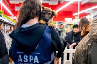 blanosii de la aspa ne asteapta la un nou targ de adoptii la parklake are loc vineri in cadrul evenimentului xiaomi pet cafe 6a6226e0bdfe0