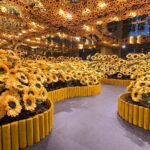 foto f09f8cbbthe sunflower room paradisul florilor din bucuresti e la mega mall instalatia inspirata din floarea soarelui lui van gogh poate fi vizitata gratuit pana in ultima zi de 6a67185c63bfd