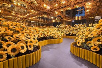 foto f09f8cbbthe sunflower room paradisul florilor din bucuresti e la mega mall instalatia inspirata din floarea soarelui lui van gogh poate fi vizitata gratuit pana in ultima zi de 6a67185c63bfd
