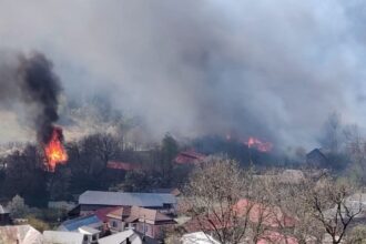 guvernul aloca noi ajutoare pentru persoanele afectate de incendiul din soveja vrancea procedura simplificata si despagubiri de pana la 90 din valoarea caselor 6a4f823fde8fa