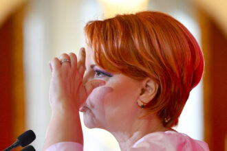 lia olguta vasilescu daca s ar da mandatul psd ar reusi sa obtina voturile 6a5687e8d8023