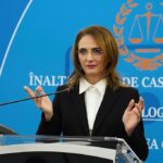 lia savonea castiga la ccr pe modificarea codului de procedura penala decizie luata in unanimitate 6a575880bf2f2