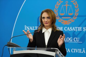 lia savonea castiga la ccr pe modificarea codului de procedura penala decizie luata in unanimitate 6a575880bf2f2