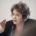 niculina stelea aur in contextul dezastrului de la ancpi parlamentul sa prelungeasca urgent regimul tranzitoriu privind cota redusa de tva 6a5dca8136f8b