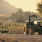 o schimbare a dietei la nivel global ar putea reduce drastic poluarea si salva milioane de vieti cercetatorii atrag atentia asupra agriculturii 6a622ad08d066