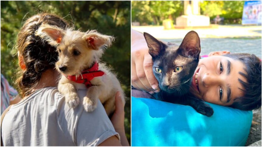 un nou targ de adoptii aspa are loc in parcul crangasi weekendul viitor catei dar si pisicute de la one rescue isi cauta oamenii lor 6a491a369b97b