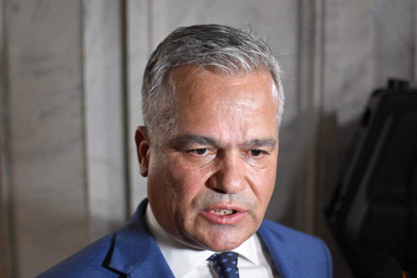 vestea anunta ca sustine platforma liberal conservatoare din pnl nu e indreptata impotriva cuiva 6a5d0ca81c6c3