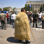 victor negrescu cere sprijin european pentru crescatorii de ovine si caprine afectati de restrictii 6a6c697987f64
