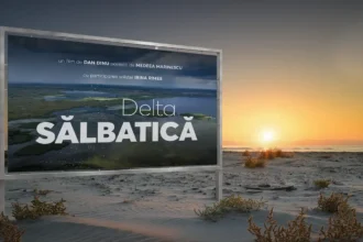 caravana delta salbatica proiectii gratuite in delta dunarii la sulina mila 23 tulcea mahmudia si jurilovca 6a84bb3d6a0e4