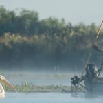 echipa documentarului delta salbatica sustine proiectele de reconstructie ecologica si renaturare derulate de organizatiile de mediu 6a815353781ea