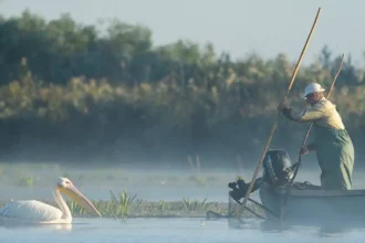 echipa documentarului delta salbatica sustine proiectele de reconstructie ecologica si renaturare derulate de organizatiile de mediu 6a815353781ea