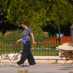 noi politici implementate prin codul urbanismului mai multe spatii verzi conditii mai bune pentru pietoni si biciclisti 6a86c7b42bbb1