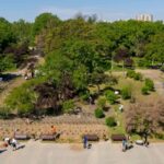 speed dating cu fluturii de noapte joia viitoare in parcul tineretului bucurestenii vor putea admira mai multe specii 6a6f1d64b6c1e