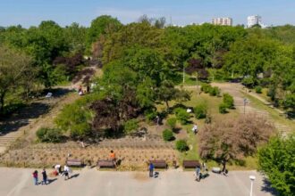 speed dating cu fluturii de noapte joia viitoare in parcul tineretului bucurestenii vor putea admira mai multe specii 6a6f1d64b6c1e