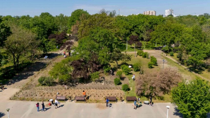 speed dating cu fluturii de noapte joia viitoare in parcul tineretului bucurestenii vor putea admira mai multe specii 6a6f1d64b6c1e